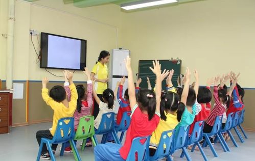 学前专业的应届生,不知道怎么选幼儿园看这里,都是过来人的经验