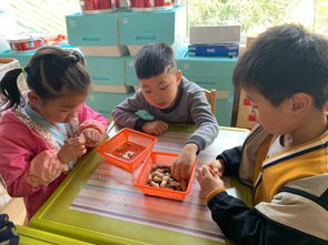 阳山中心幼儿园 种子食品真好吃