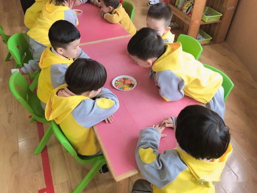 彩虹糖的秘密 博文幼儿园小二班科学小实验活动