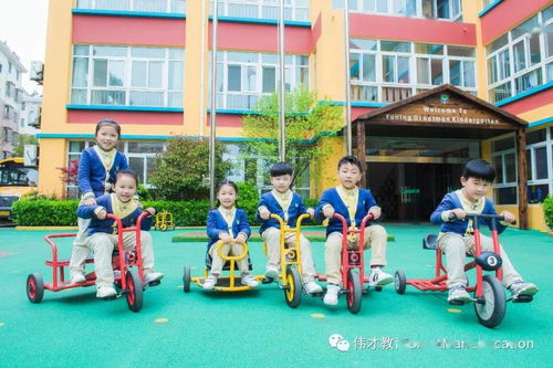 园所百科丨幼儿园期末总结报告,看看孩子的10个变化吧