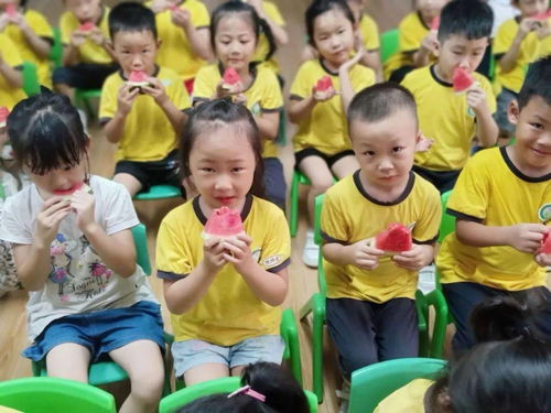 美食每刻的守护——长安爱迪幼儿园食品安全宣传周纪实